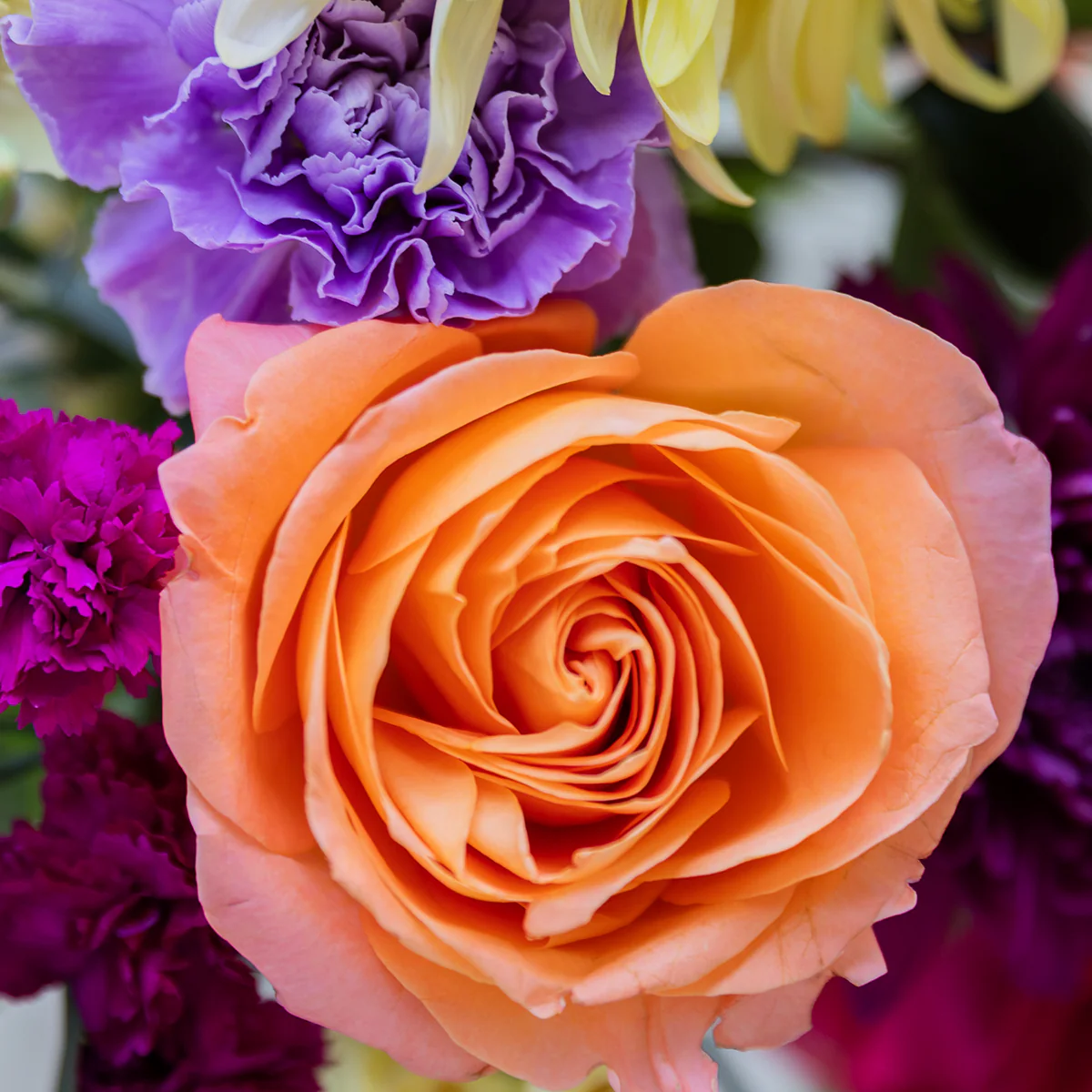 El Colorido - Ramo con flores amarillas - Image 8