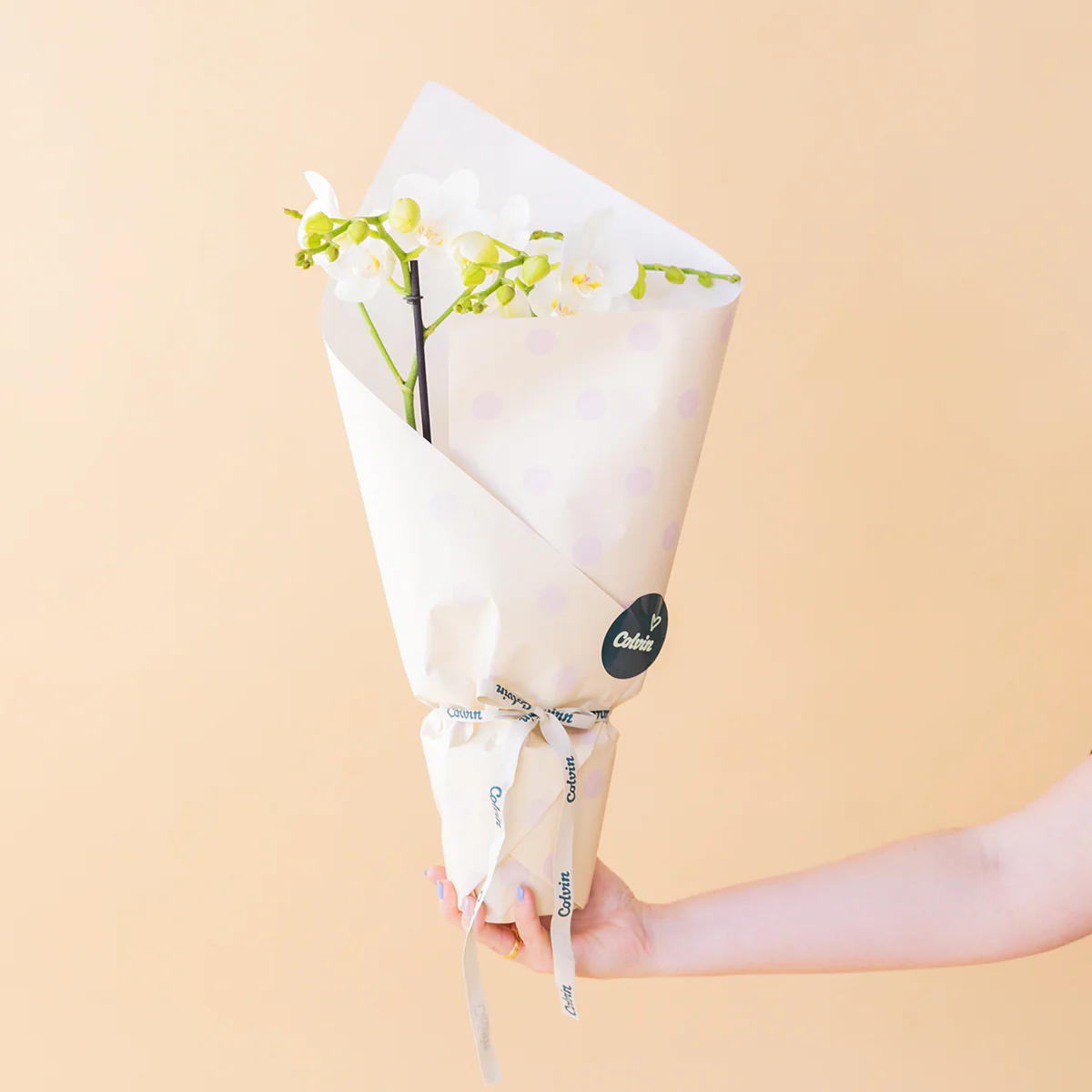 Orquídea Blanca con Envoltorio, Charm y Tarjeta - Image 3