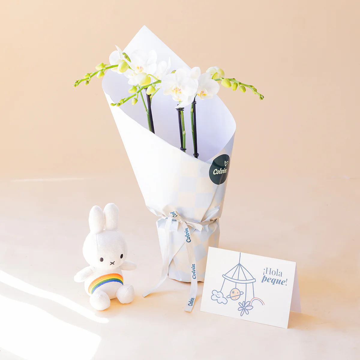 [Add-ons PDP] Plantas M